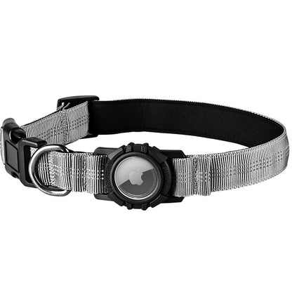 Lilly Paws™ Everyday Collar