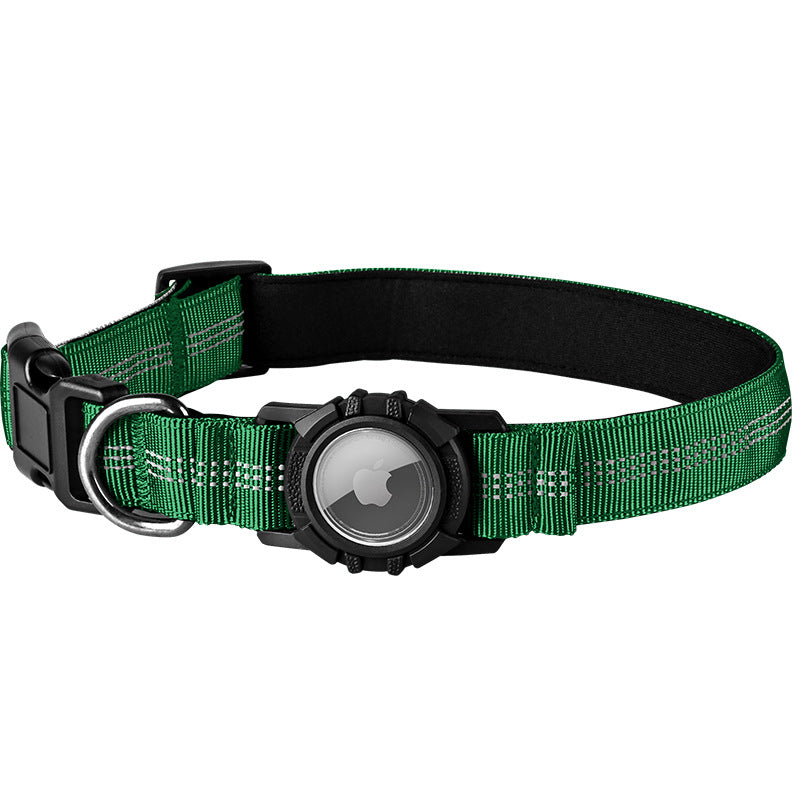 Lilly Paws™ Everyday Collar