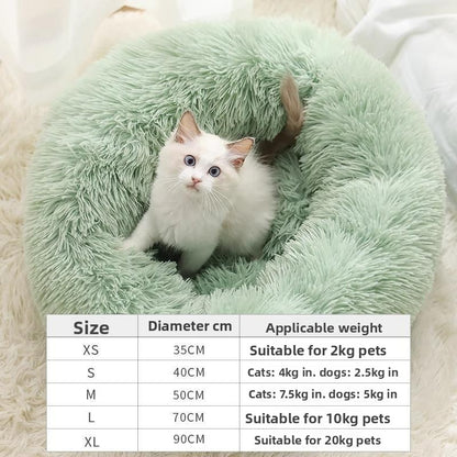 Lilly Paws™ DreamNest Bed