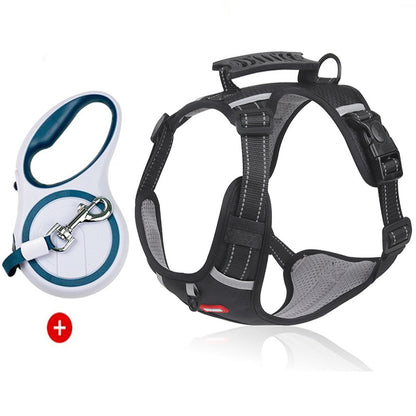 Lilly Paws™ ComfortWalk Harness