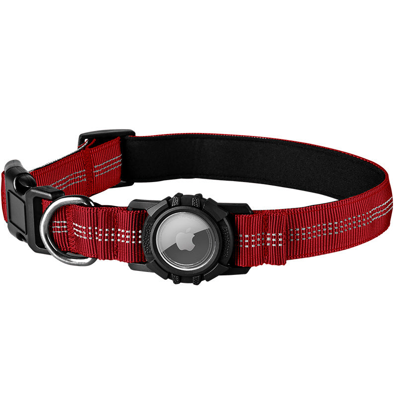 Lilly Paws™ Everyday Collar