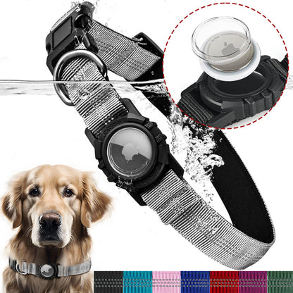 Lilly Paws™ Everyday Collar