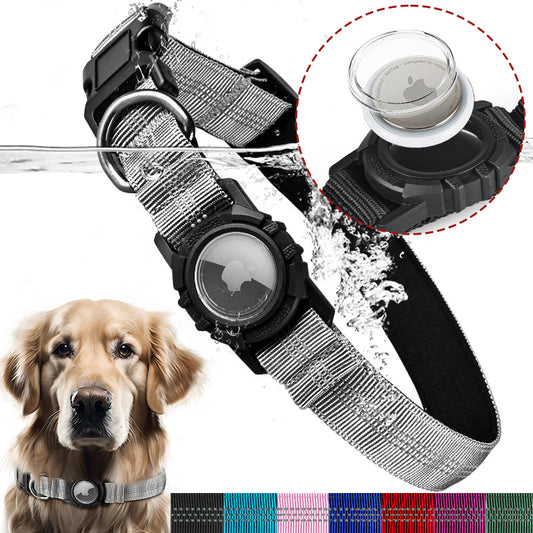 Lilly Paws™ Everyday Collar