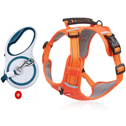 Lilly Paws™ ComfortWalk Harness