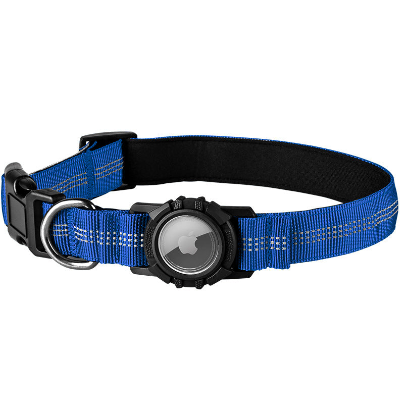 Lilly Paws™ Everyday Collar