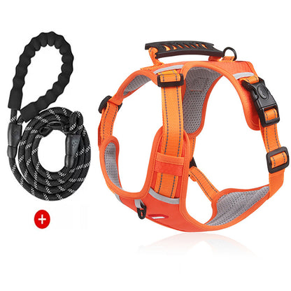 Lilly Paws™ ComfortWalk Harness
