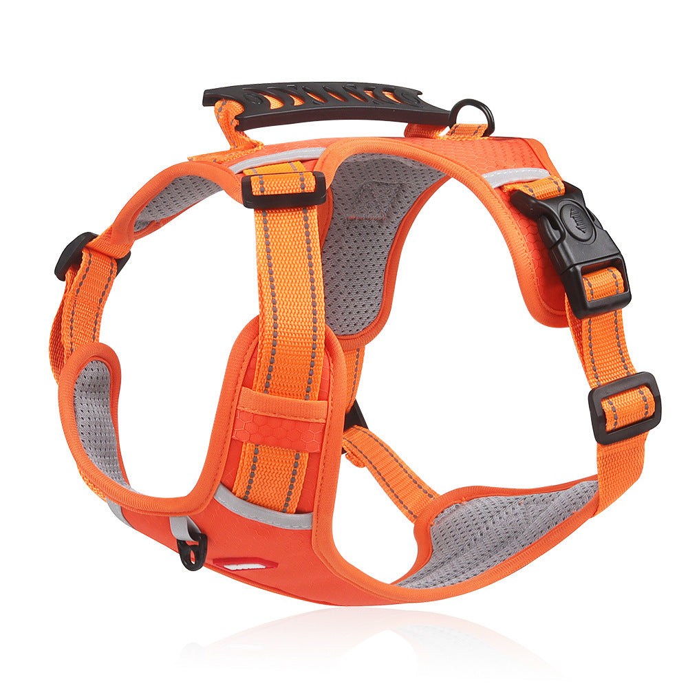 Lilly Paws™ ComfortWalk Harness