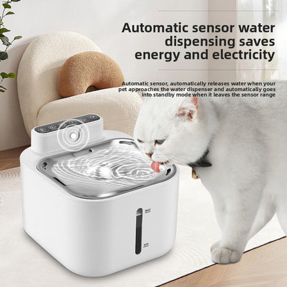 Lilly Paws™ Flow Fountain Pro