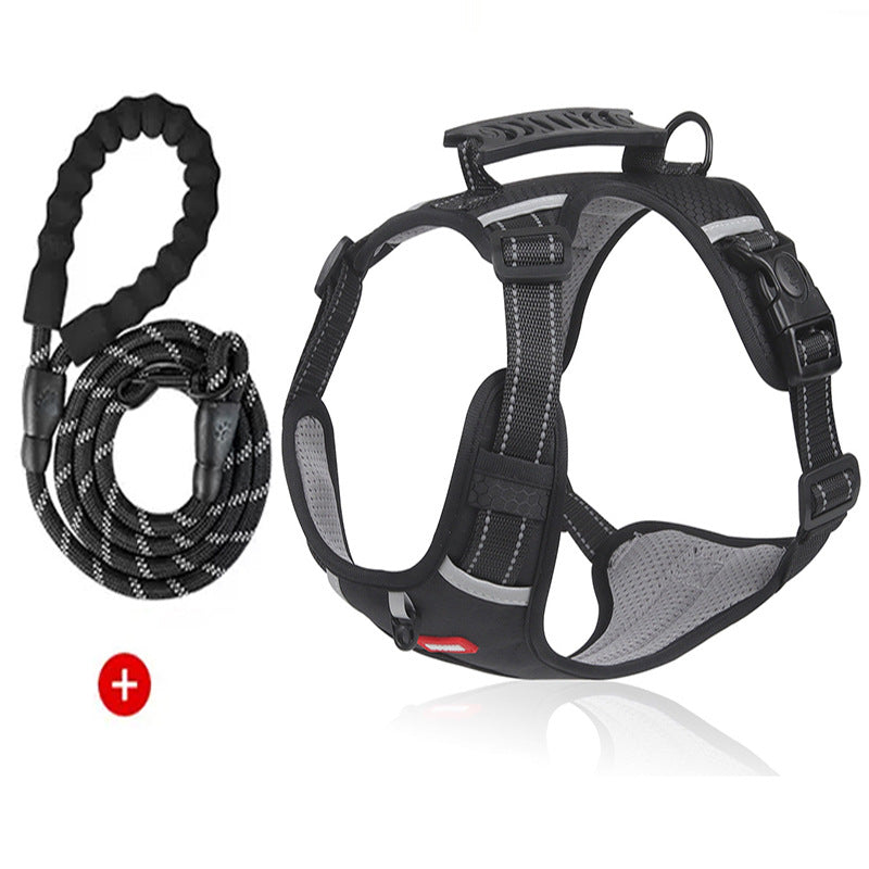 Lilly Paws™ ComfortWalk Harness