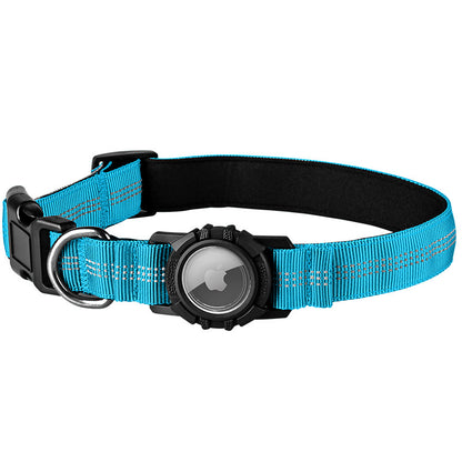 Lilly Paws™ Everyday Collar