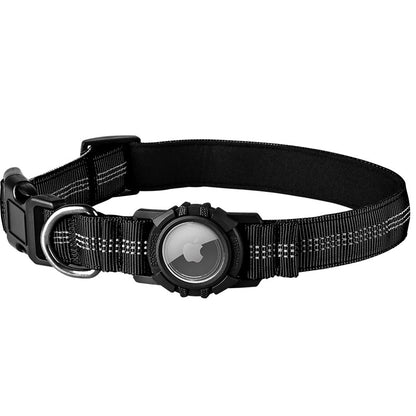 Lilly Paws™ Everyday Collar