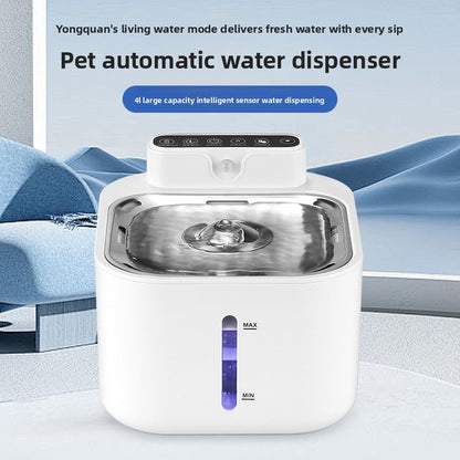 Lilly Paws™ Flow Fountain Pro