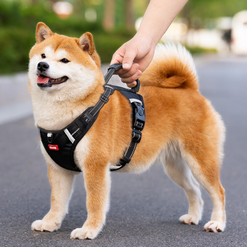 Lilly Paws™ ComfortWalk Harness