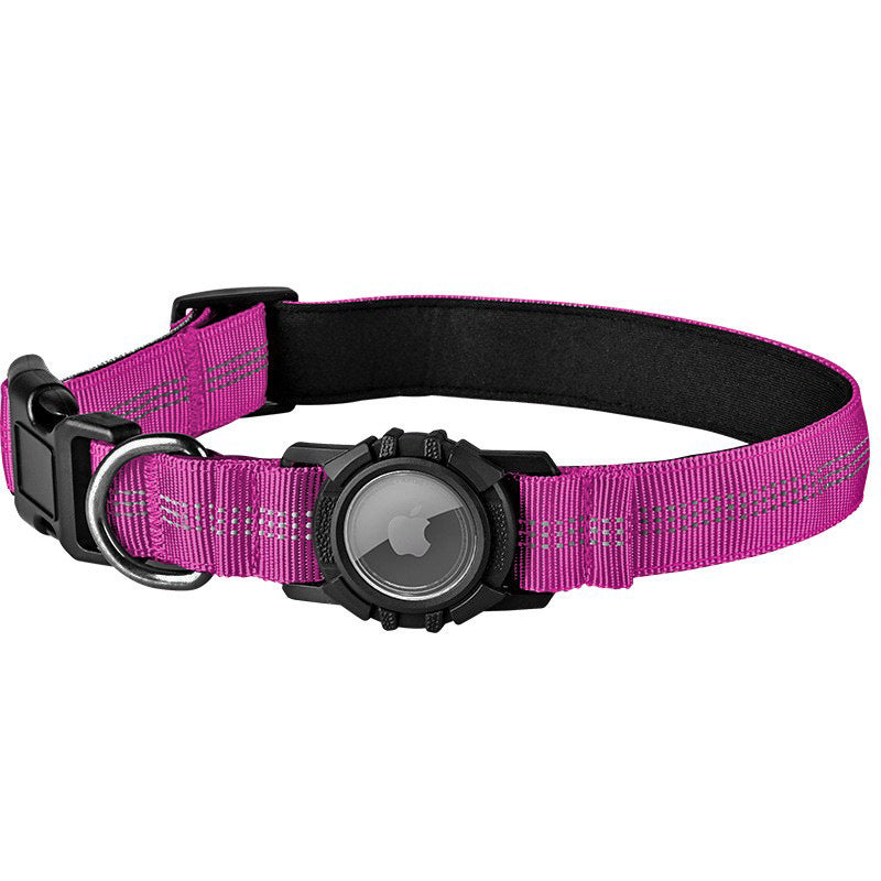 Lilly Paws™ Everyday Collar