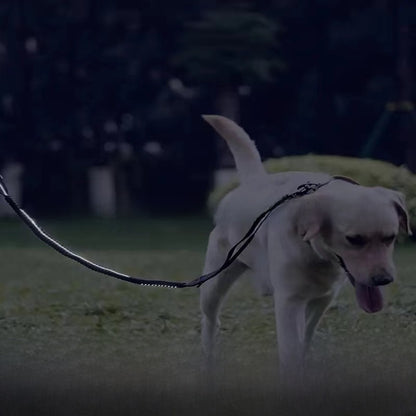 Lilly Paws™ FreedomLeash