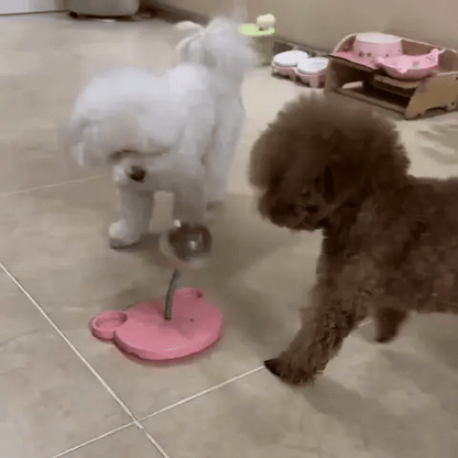 Interactive Treat Puzzle Ball for Dogs & Cats