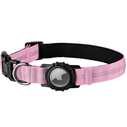 Lilly Paws™ Everyday Collar