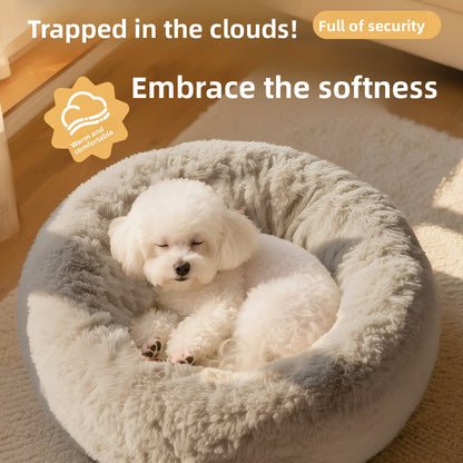 Lilly Paws™ DreamNest Bed