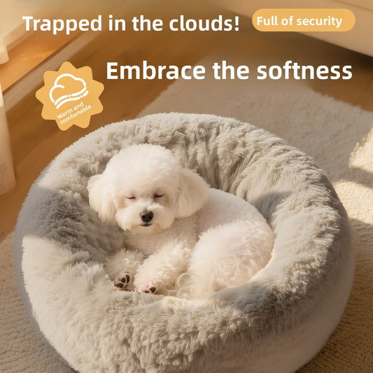 Lilly Paws™ DreamNest Bed