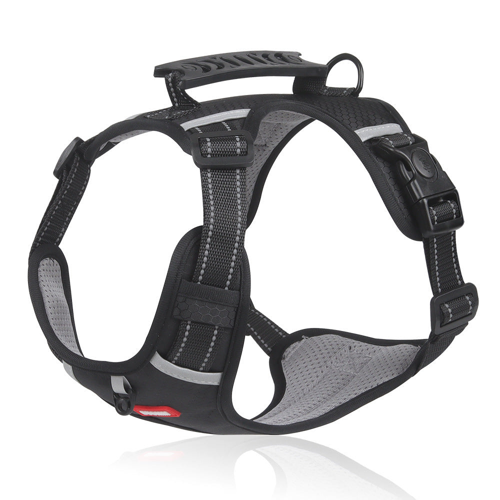 Lilly Paws™ ComfortWalk Harness